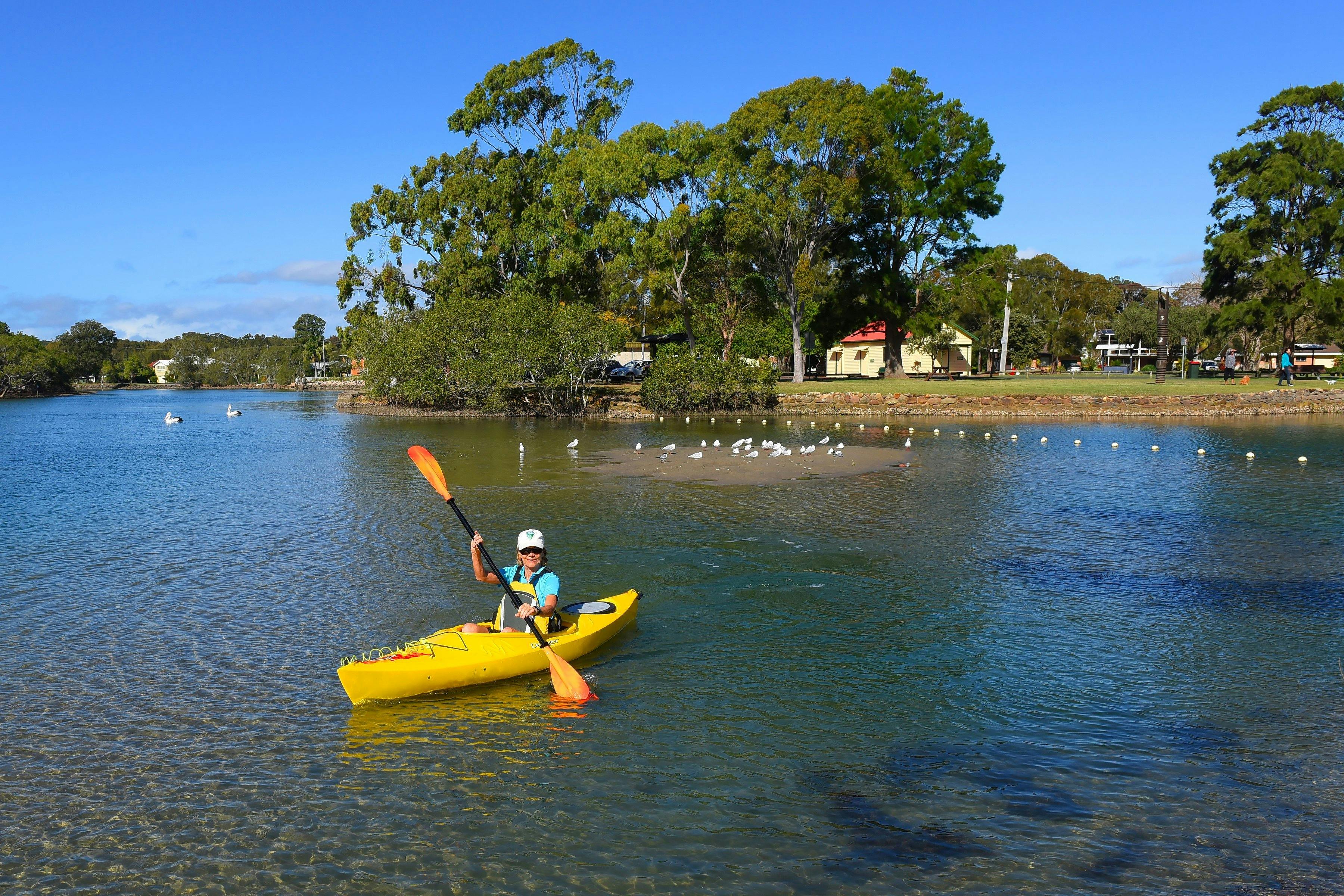Kayaking camden haven laurieton mid north coast