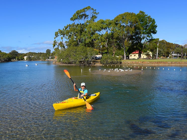 Kayaking camden haven laurieton mid north coast