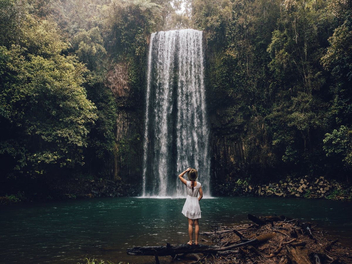 Millaa Millaa Falls - Up with the best. A must see