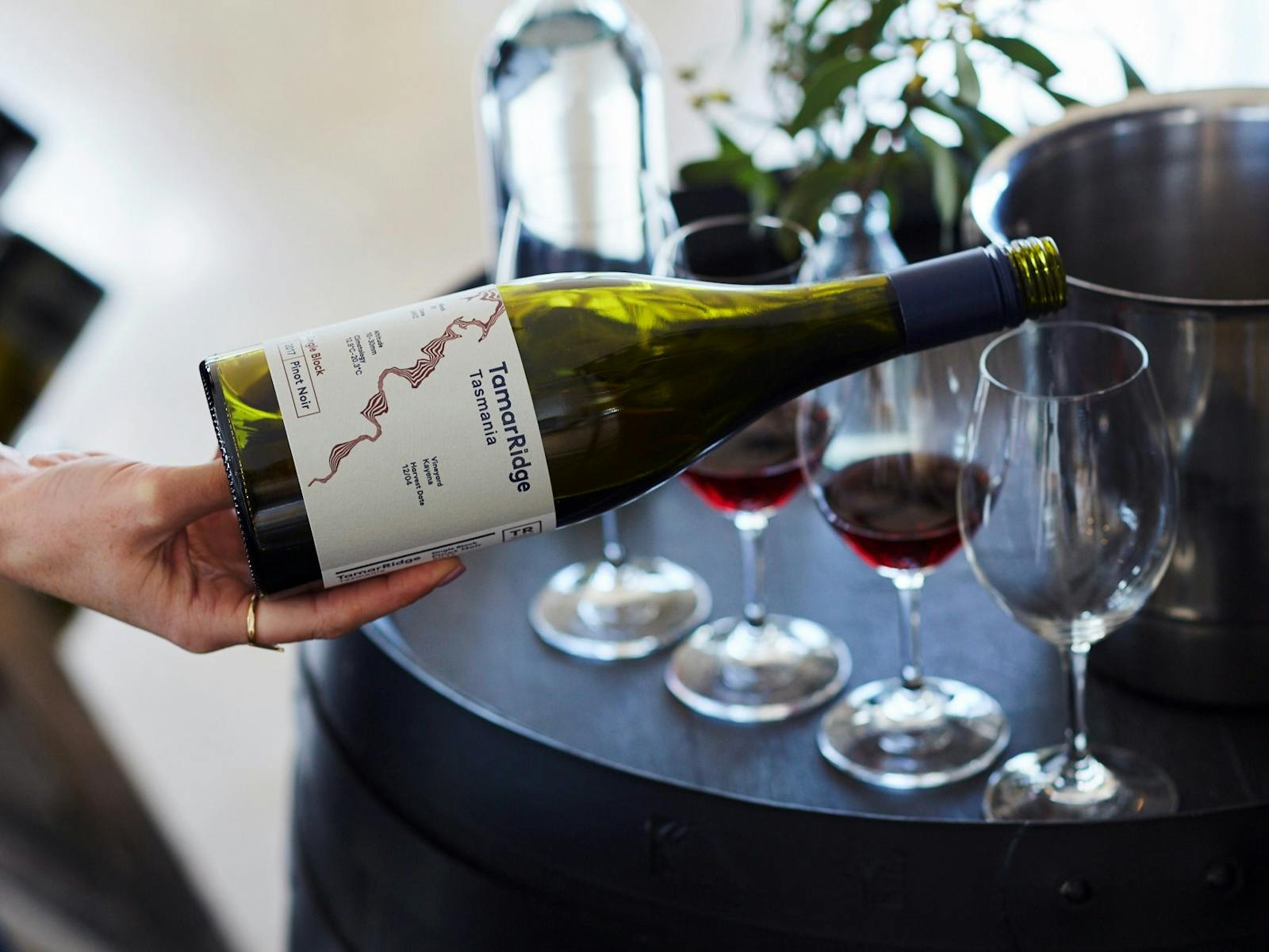 Pinto tasting