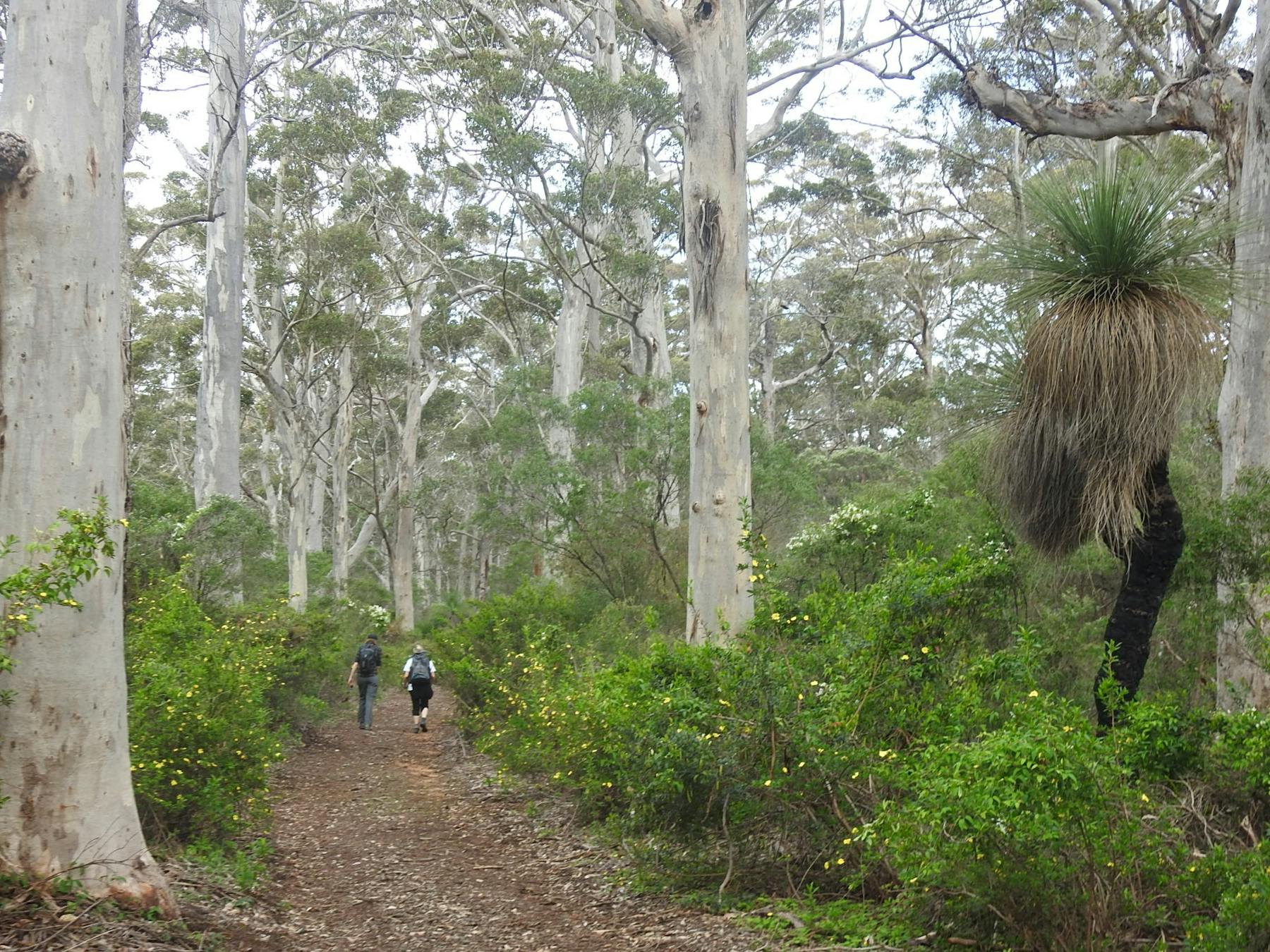 Cape to Cape Explorer Tours, Margaret River, Western Australia