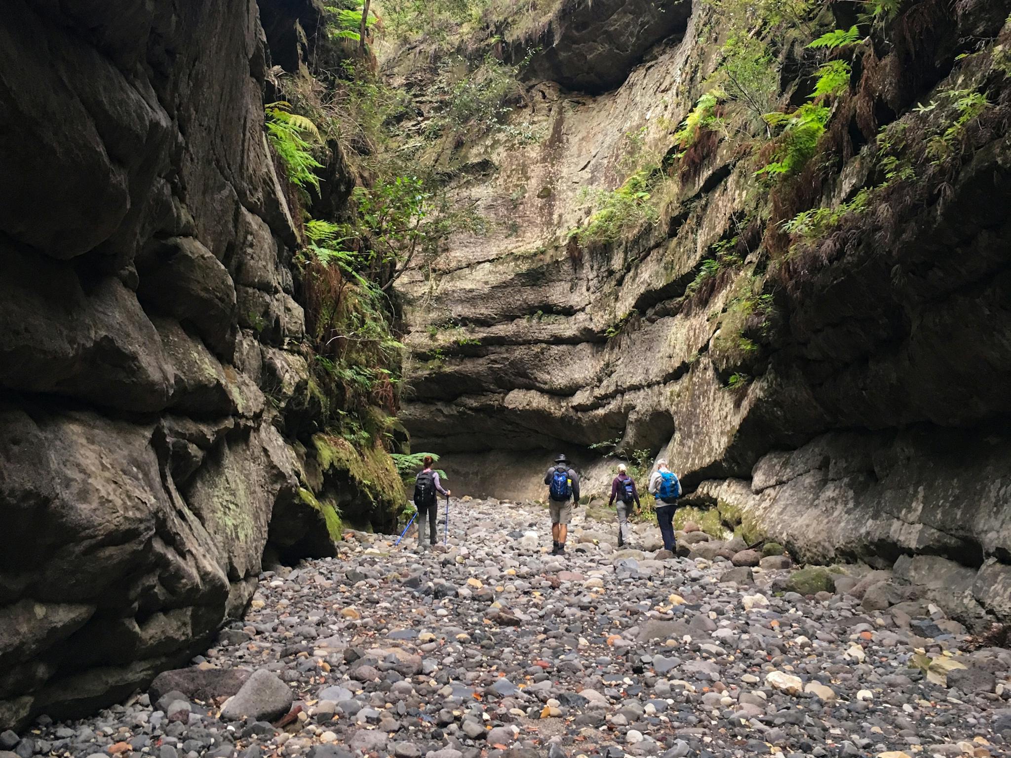Four bushwalkers explore the dry, stony creek bed of a narrow side gorge at Carnarvon Gorge.