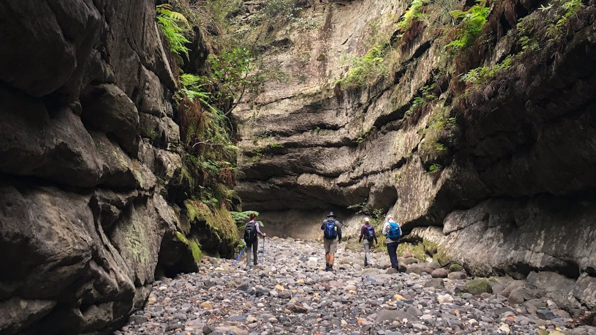 Four bushwalkers explore the dry, stony creek bed of a narrow side gorge at Carnarvon Gorge.