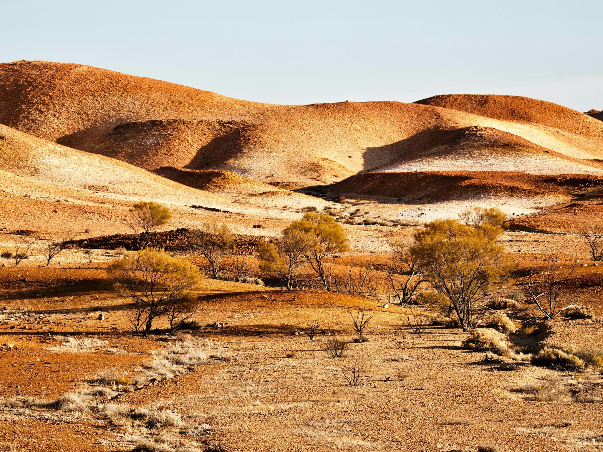 Anna Creek Painted Hills
