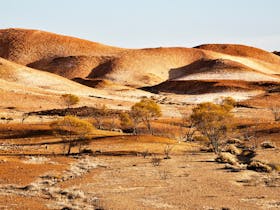 Anna Creek Painted Hills