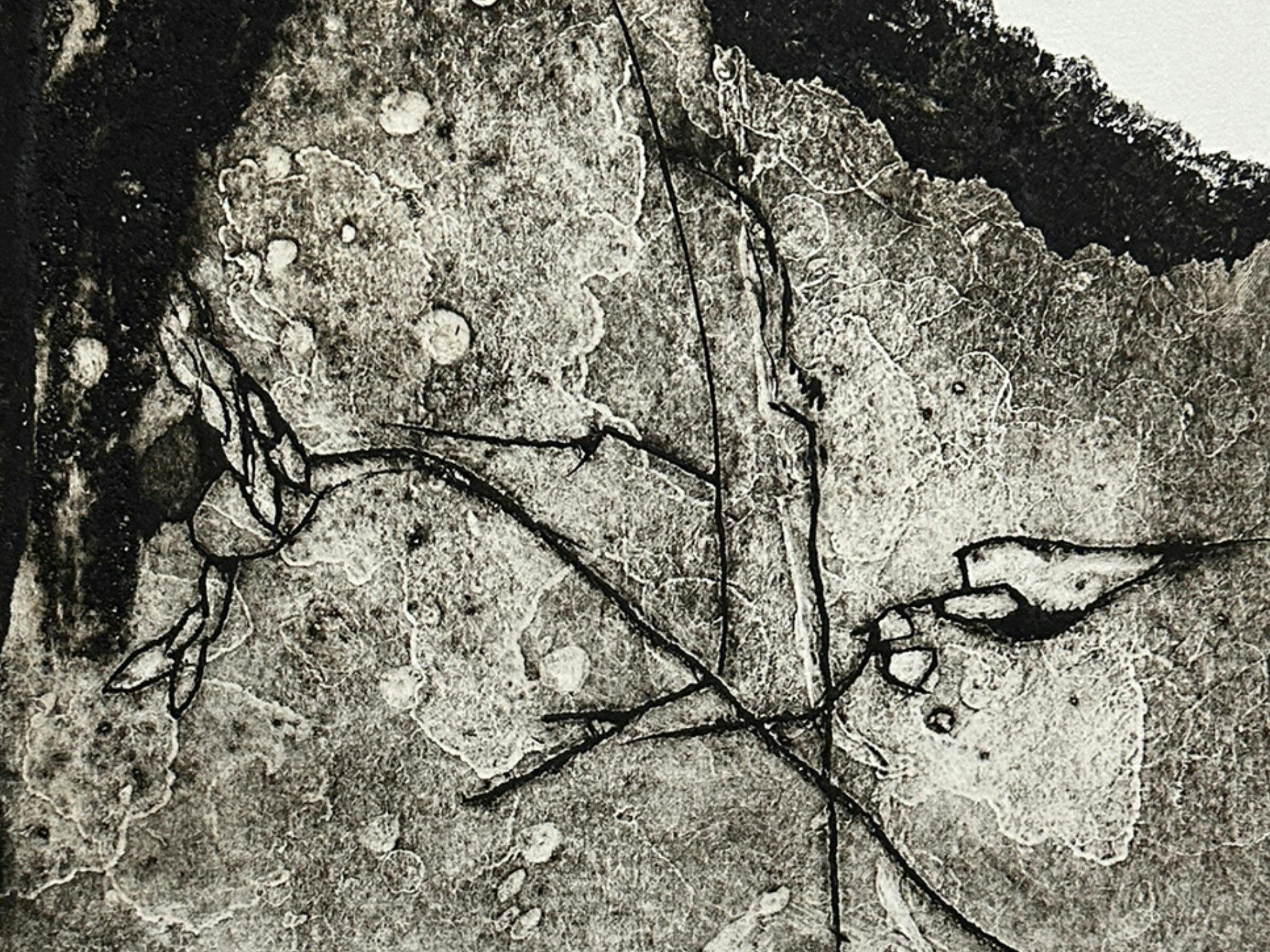 detail of black and white textured print