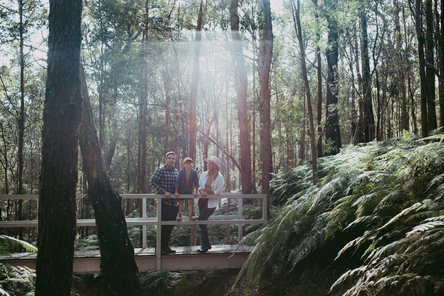 Wander the forest bridges and reconnect with Eastern Escarpment’s quiet natural beauty.