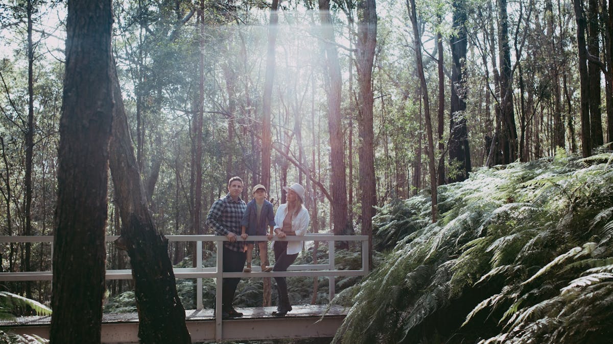Family on wooden bridge observing trees and creek in bushland reserve