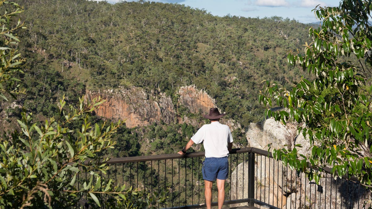 Person stands at lookout with views over forested slope and waterfall. Person stands at lookout with views over forested slope and waterfall.