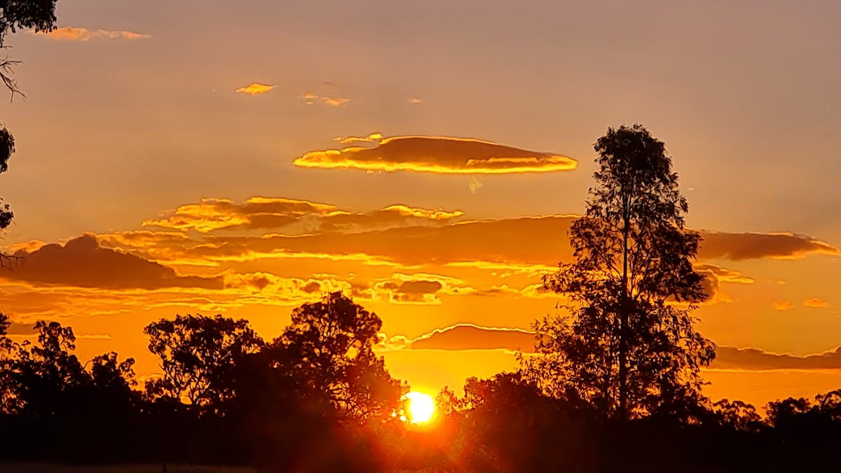 Sunset shot
