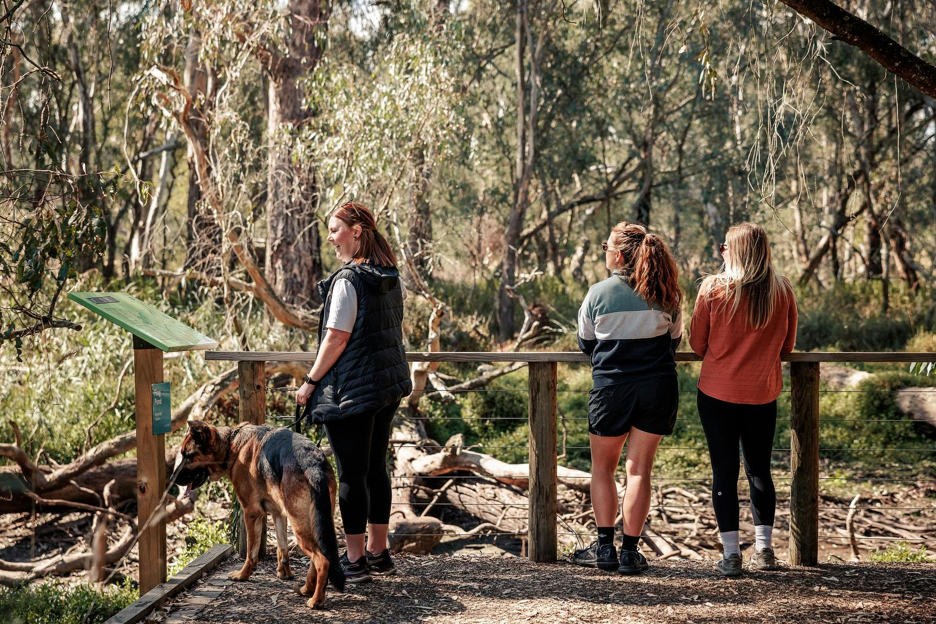 people looking at nature