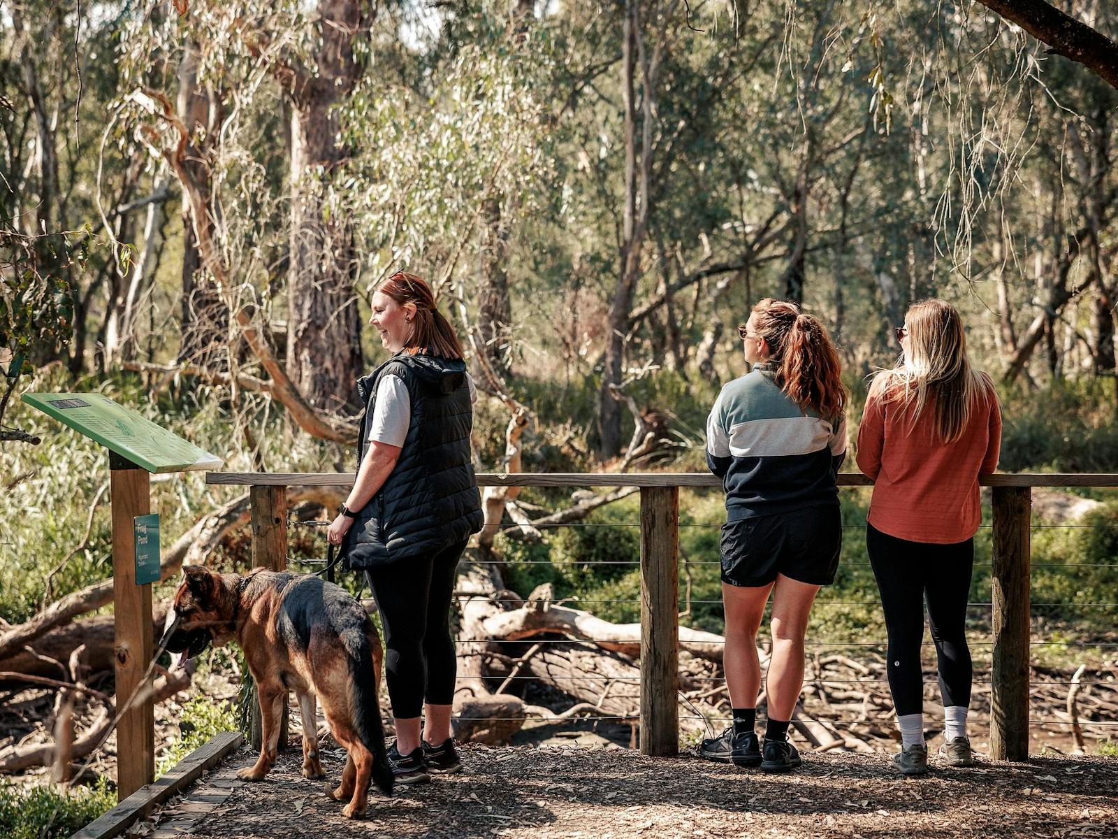 people looking at nature
