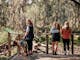 people looking at nature