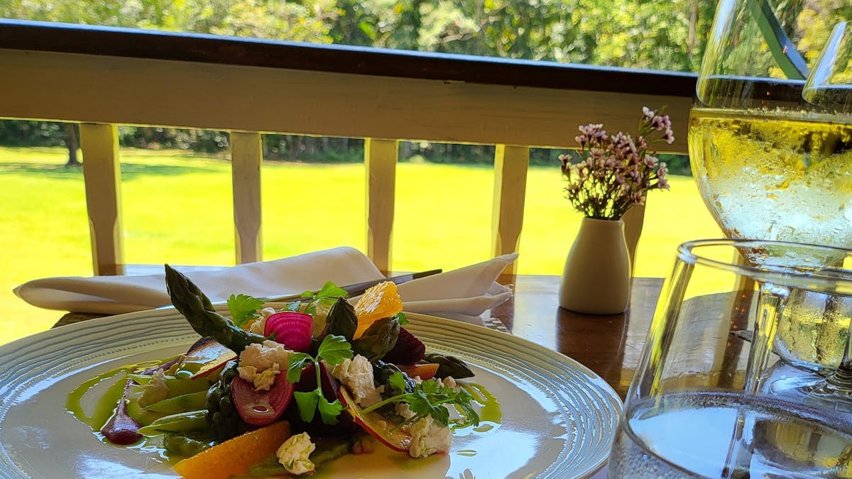 Lunch views over Buderim Park