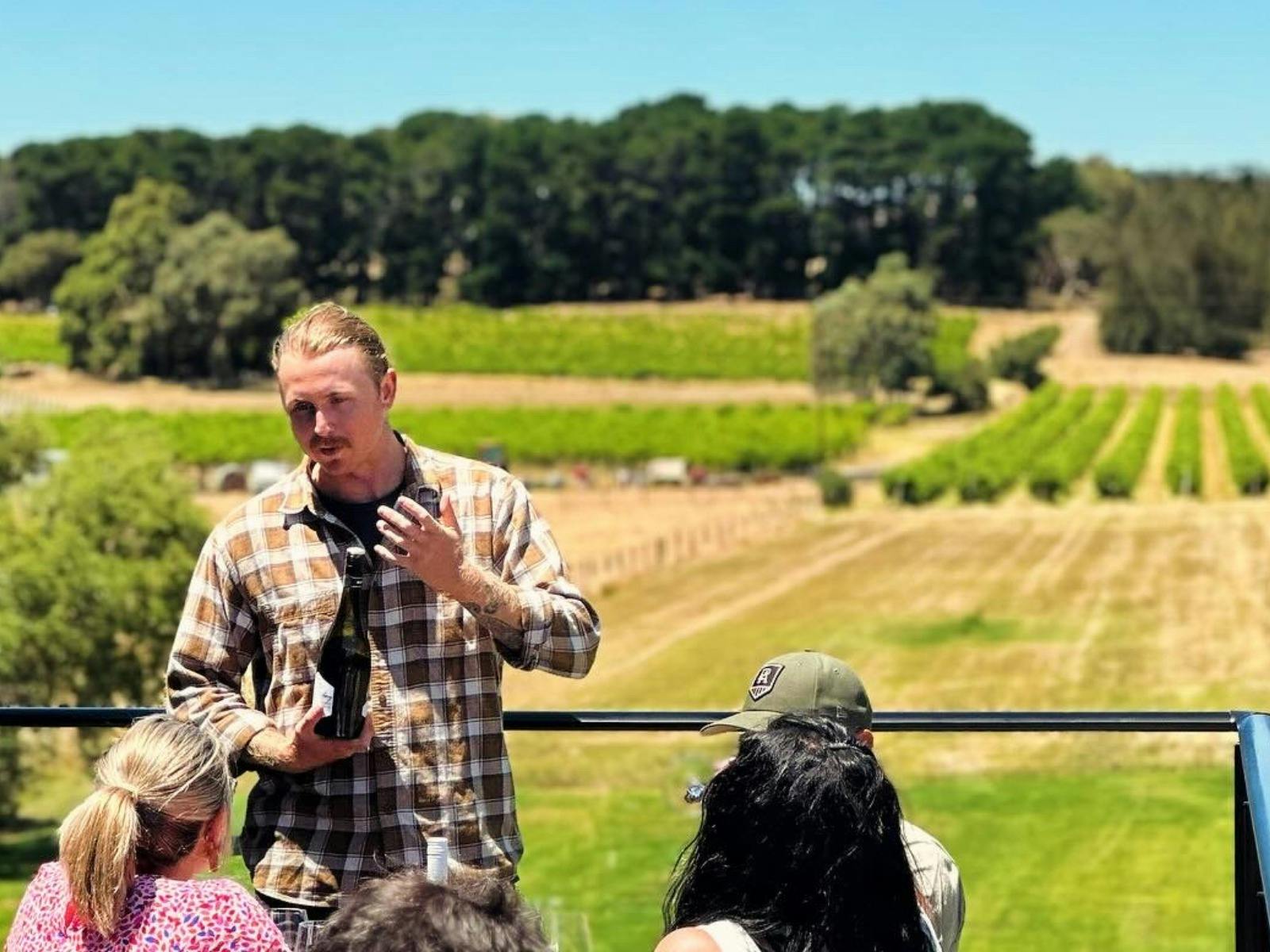 Rooftop tastings at the cellar door
