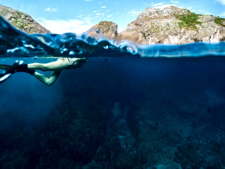 Snorkeling Tour - Julian Rocks Byron Bay | NSW Holidays & Accommodation ...