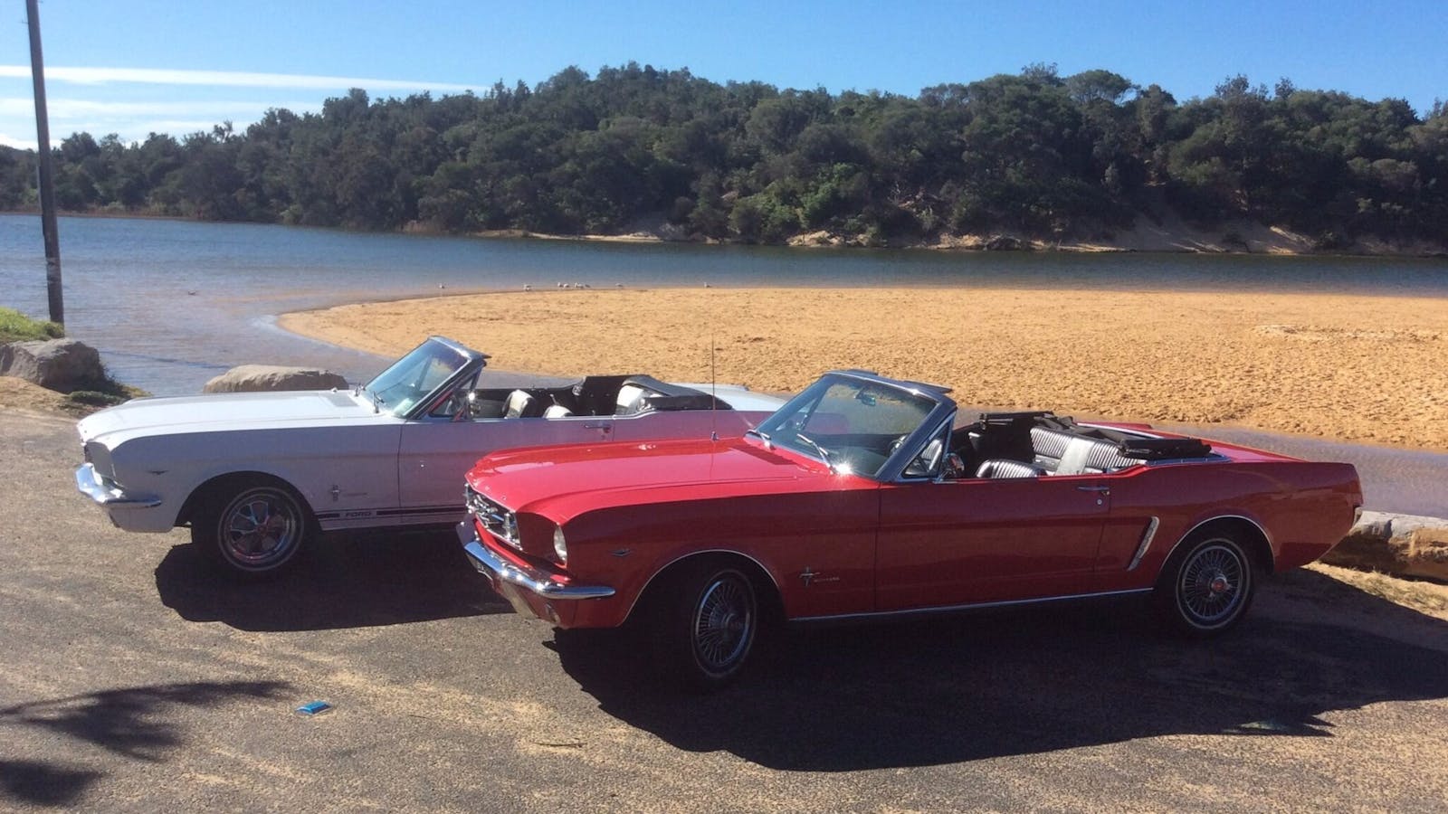 Central Coast Mustang