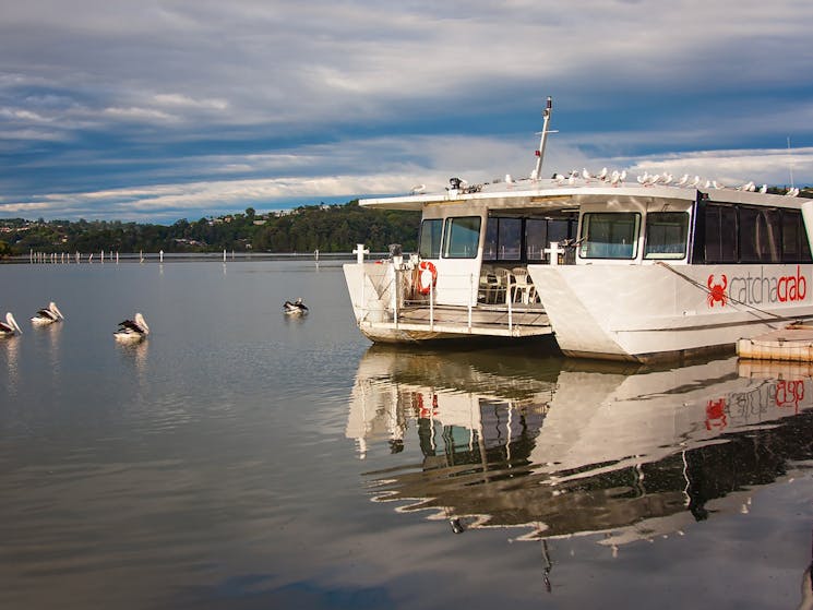 Cruise the  scenic River on a half day tour