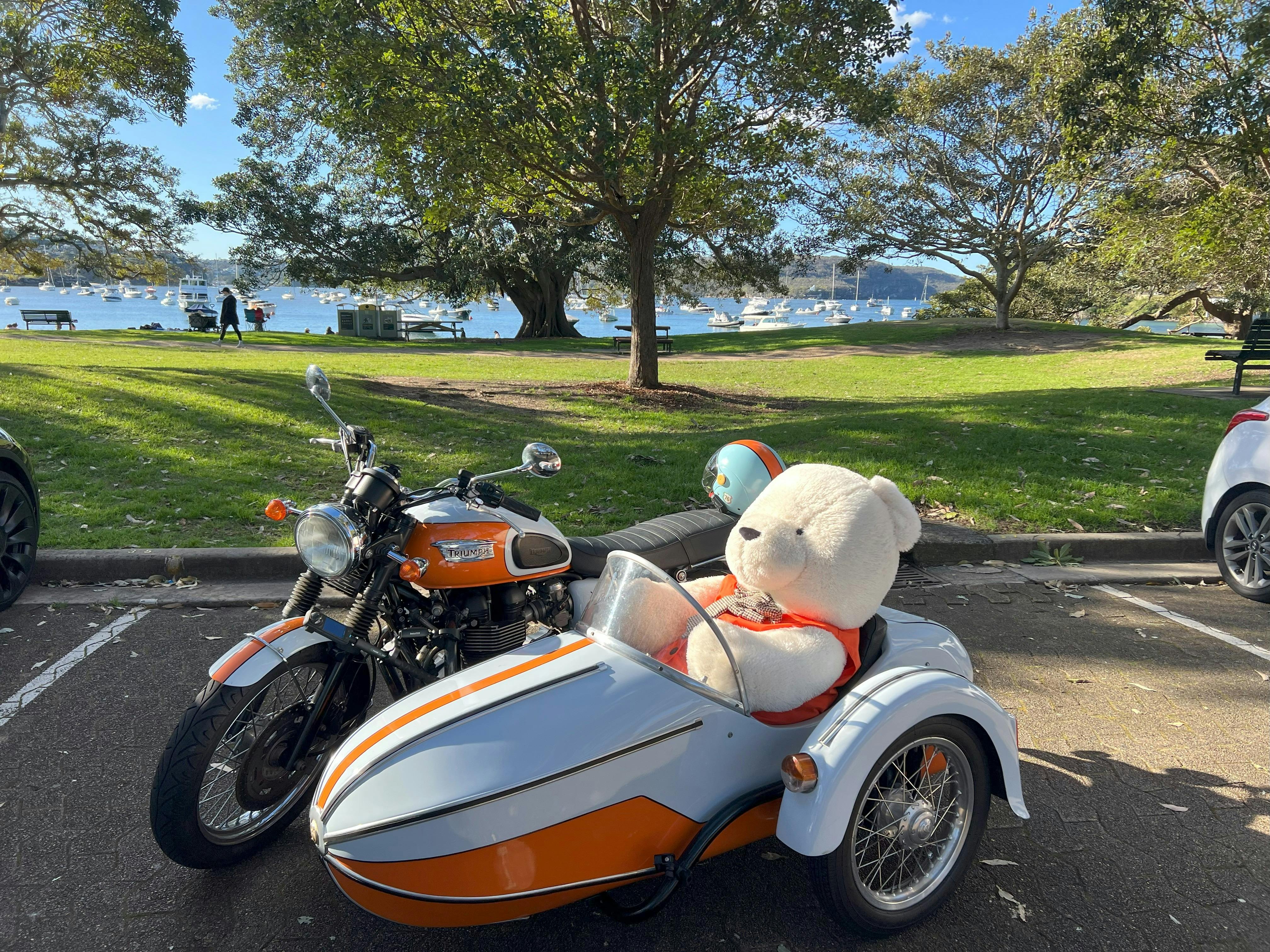 A motorcycle and sidecar parked by a tree with Sydney Harbour in the background