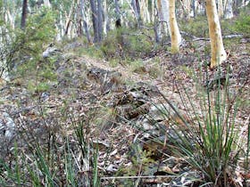 Historic Water Race walking track, Mullion Range State Conservation Area. Photo: NSW Government