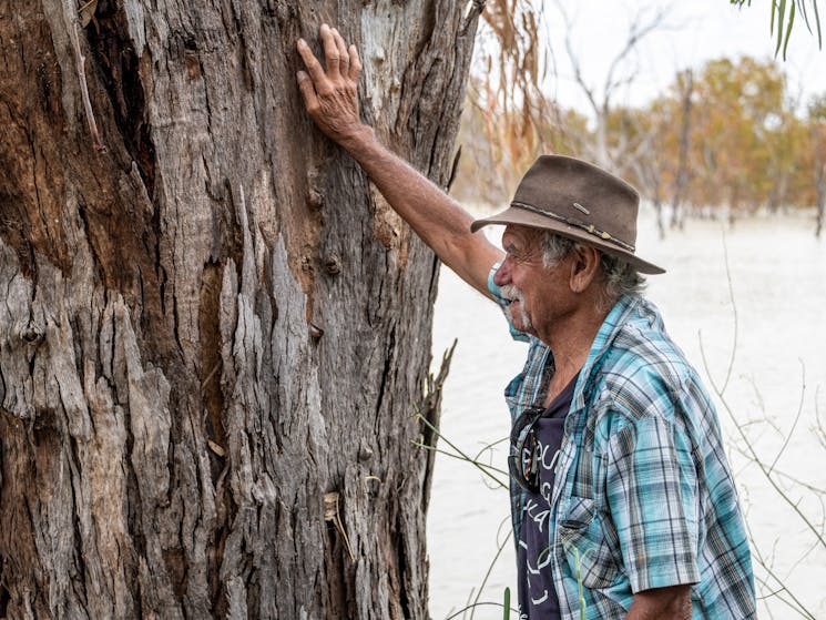 Uncle Badger Bates hand resting on Red Gum tree on the shore of Emu Lake