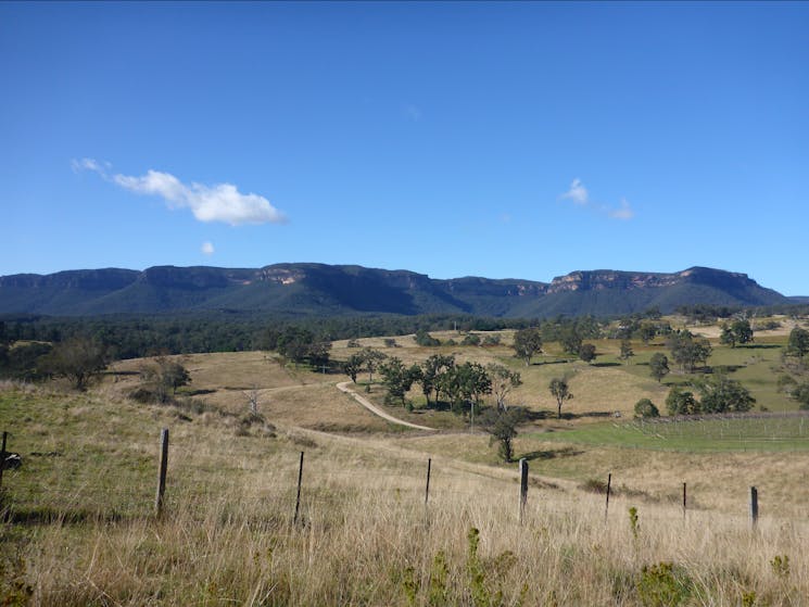 Megalong Valley on the Six Foot Track