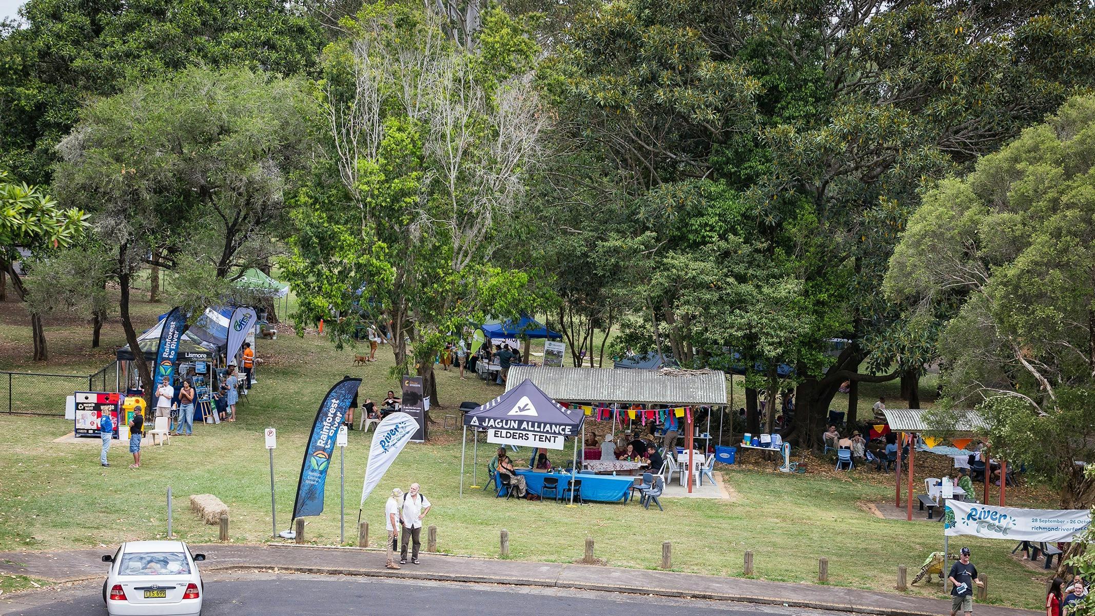 Community tree planting and music on the Richmond River