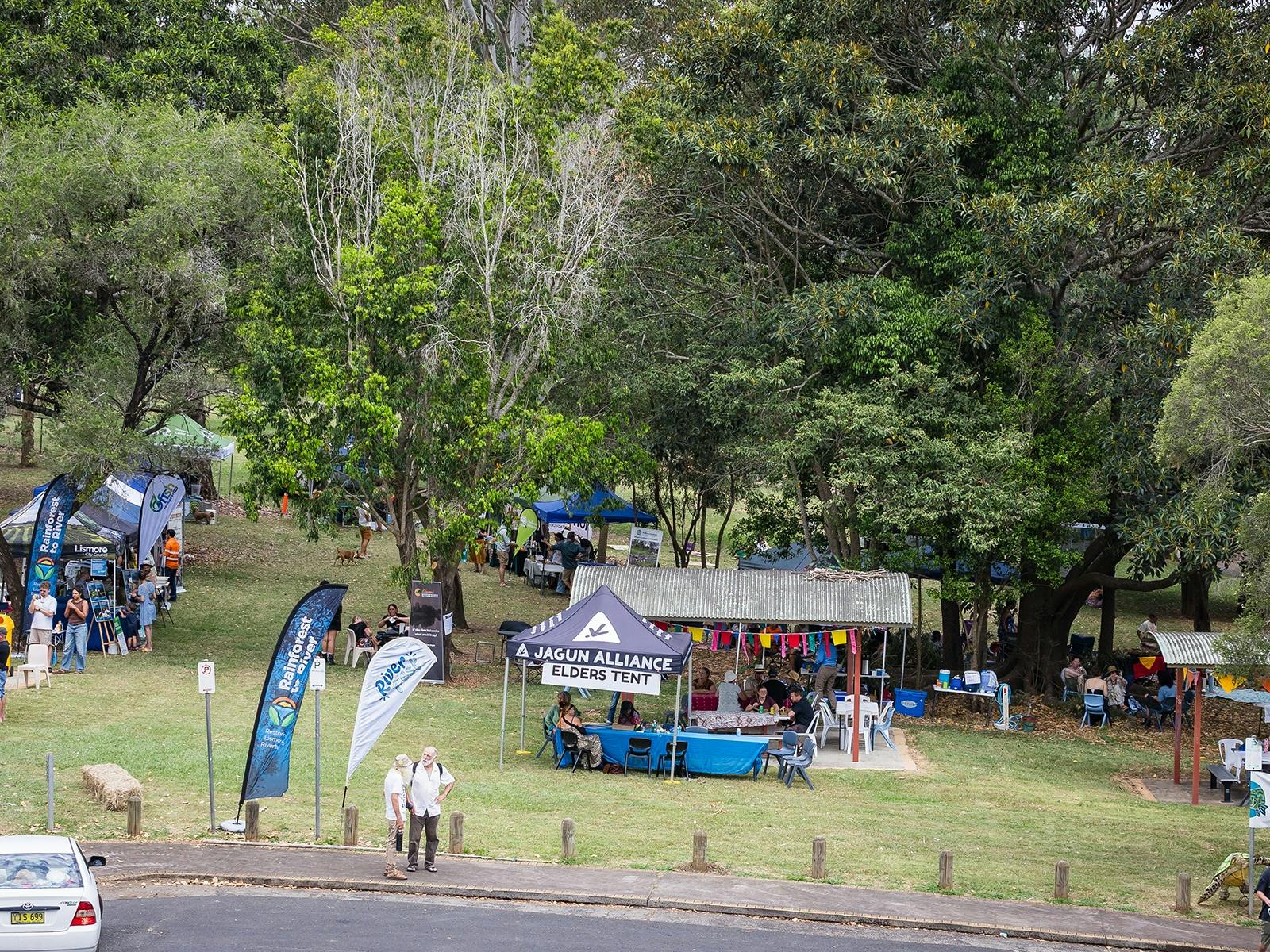 Community tree planting and music on the Richmond River