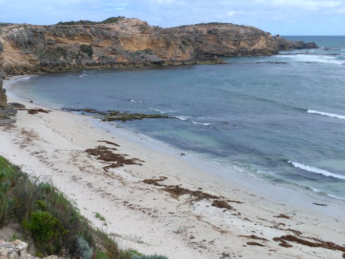 Beach Combing with Bush Adventures