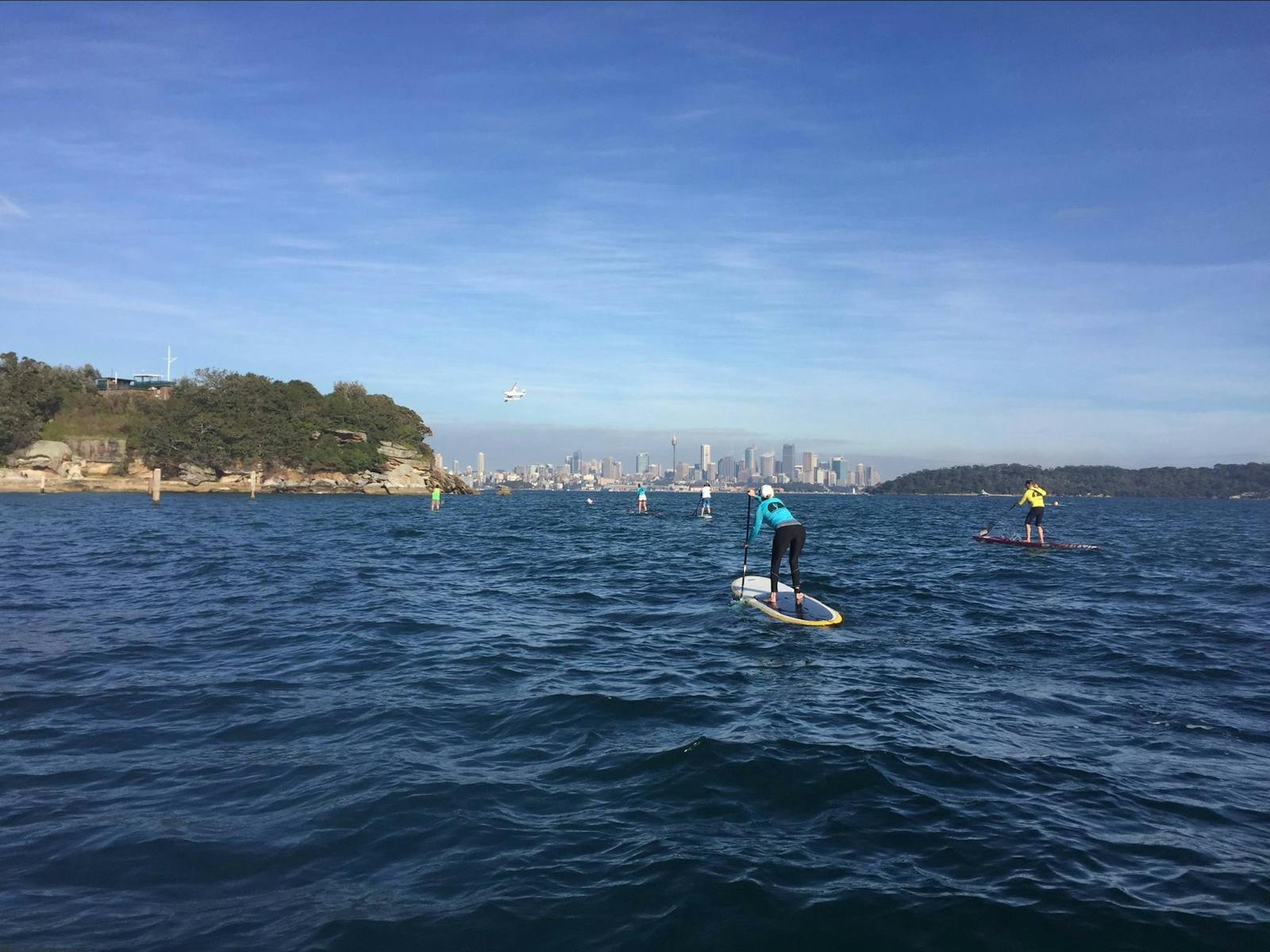 Watsons Bay Stand Up Paddling (WATSSUP)