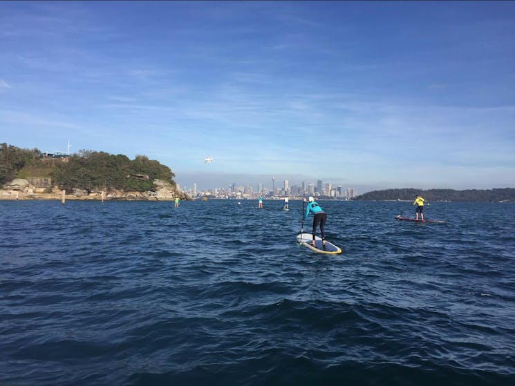 Stand Up Paddling Sydney Harbour