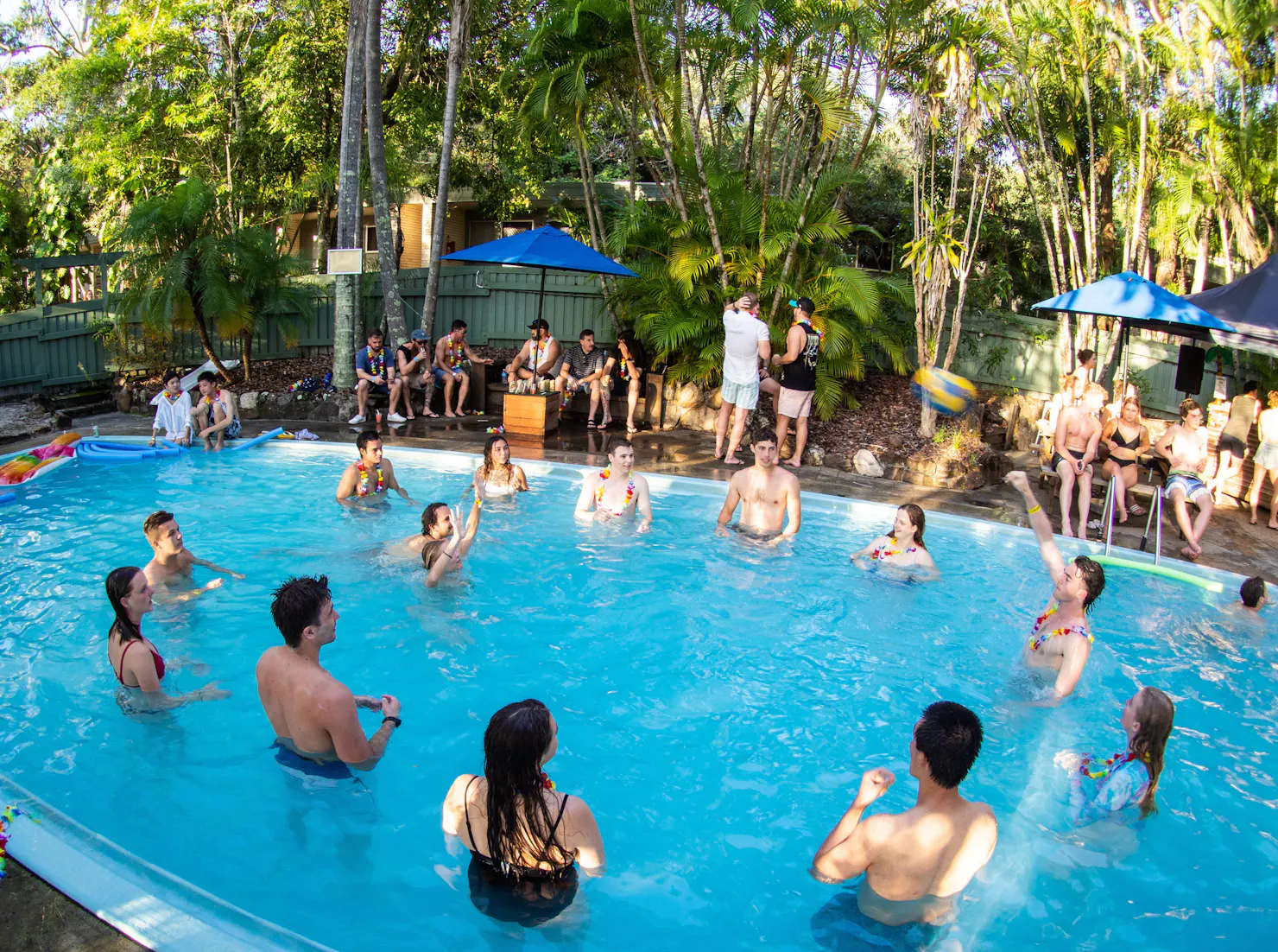 Guests in the pool