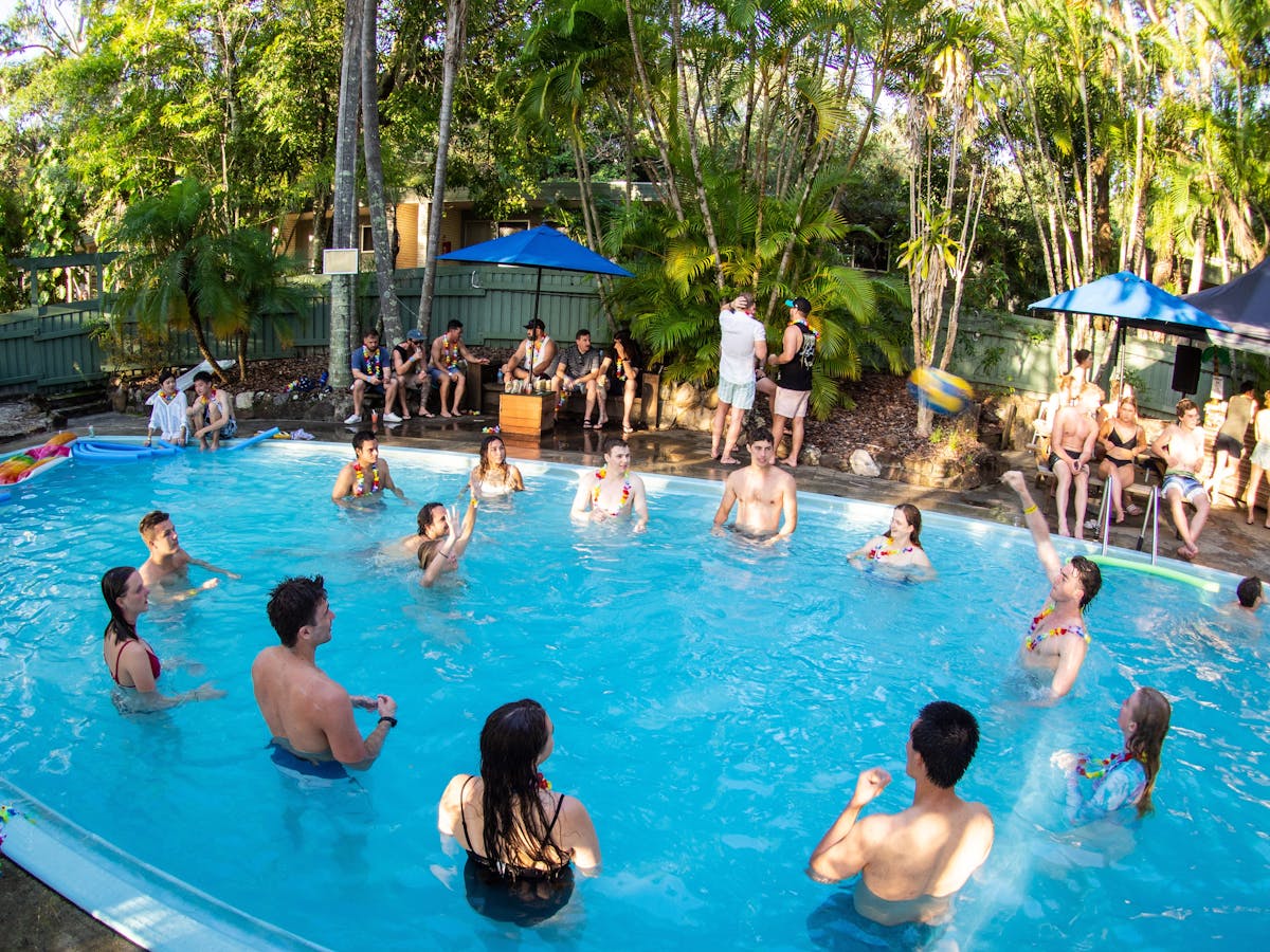 Guests in the pool