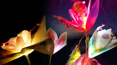 Colourful handmade paper flowers of assorted shapes glow against a dark background aga