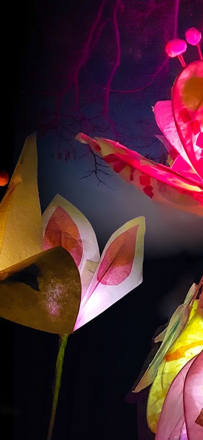 Colourful handmade paper flowers of assorted shapes glow against a dark background aga