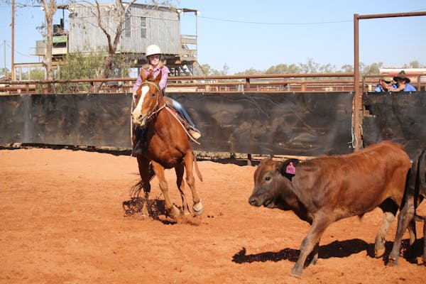 Channel Country Challenge, Campdraft, Gymkhana and Rodeo