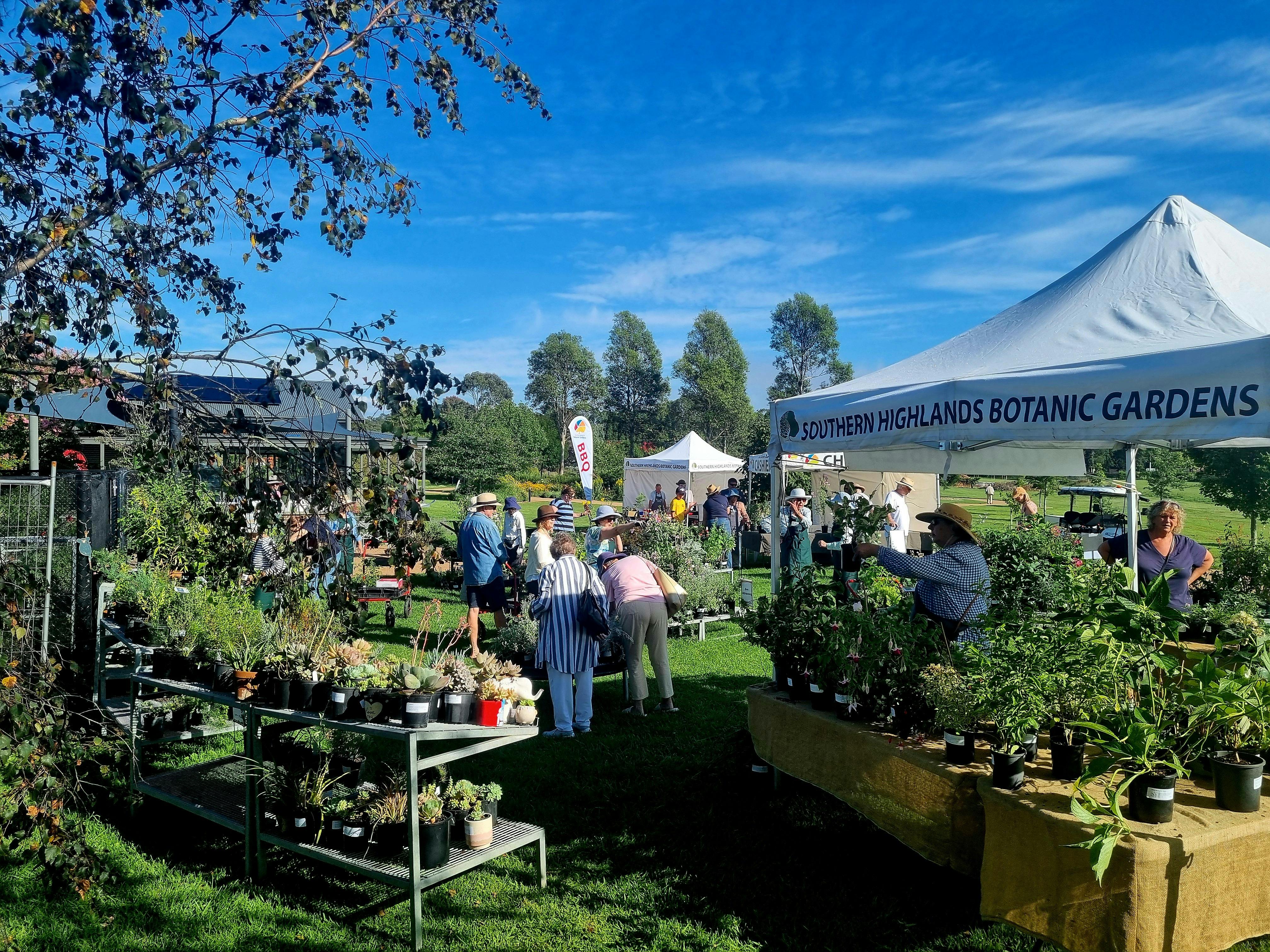 25% off selected plants