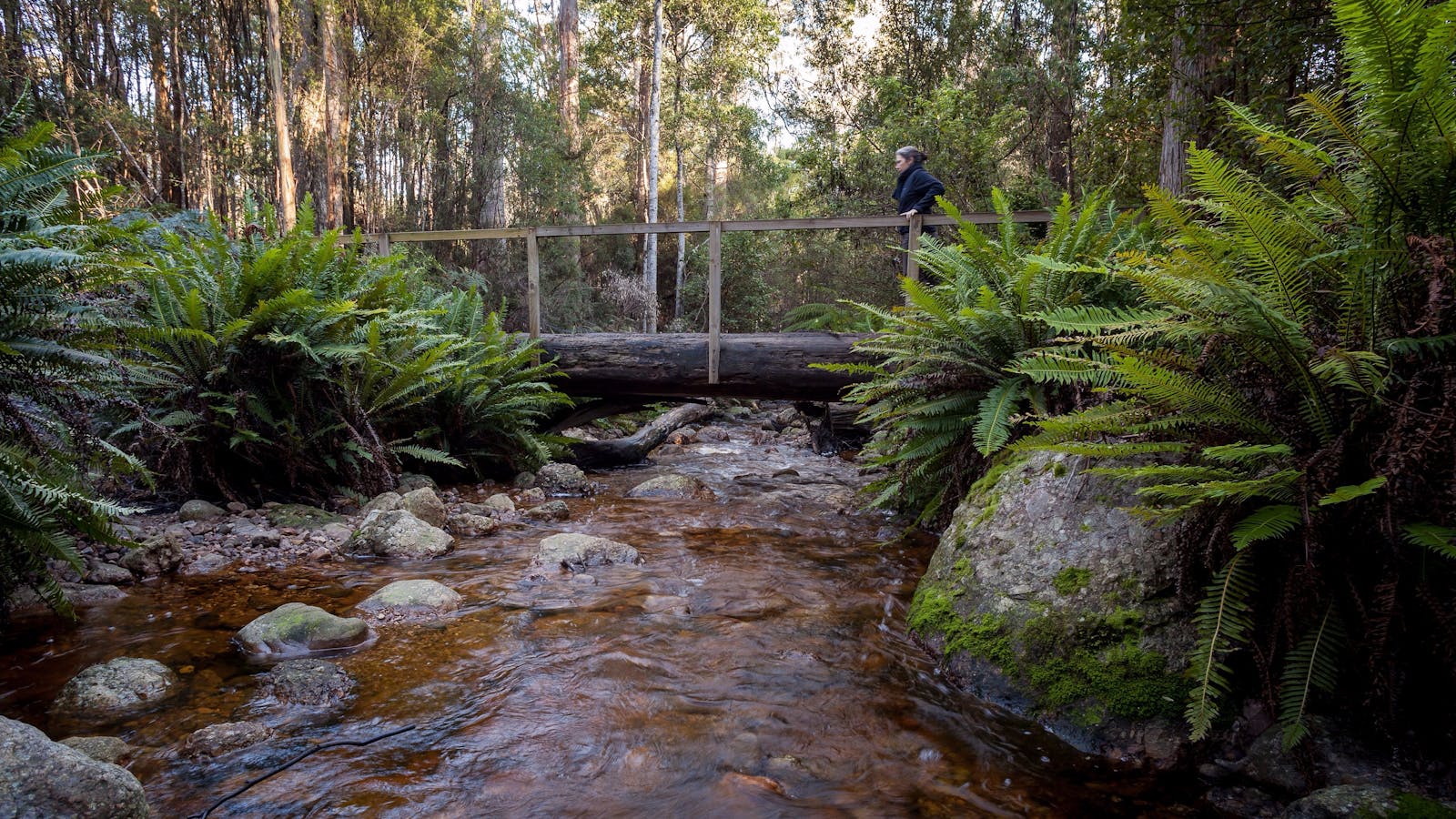 O'Neills Creek picnic reserve