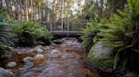 O'Neills Creek picnic reserve