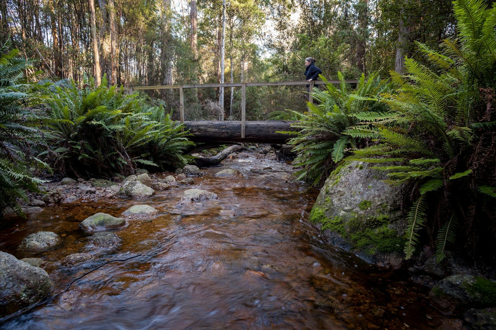 O’Neills Creek picnic reserve