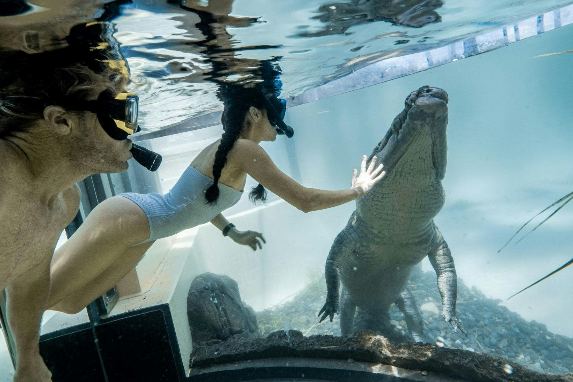 Tour 7A & 7B - Wildlife, The Daintree Rainforest & Mossmna Gorge