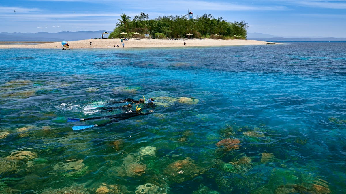 Snorkelling Low Isles