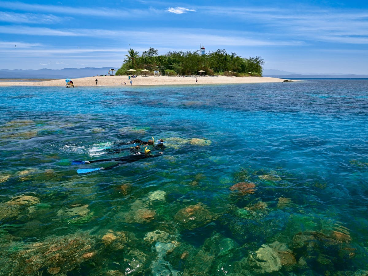 Snorkelling Low Isles