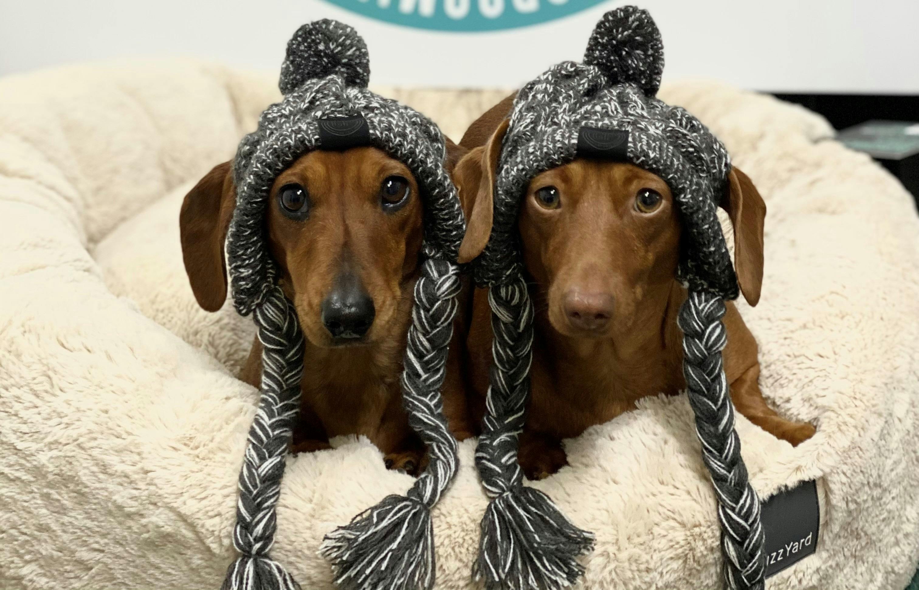 Sandys Grooming Tails & K9 Cafe Snags in beanies