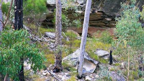 Bush scene with rocky cliff face and aboriginal art.