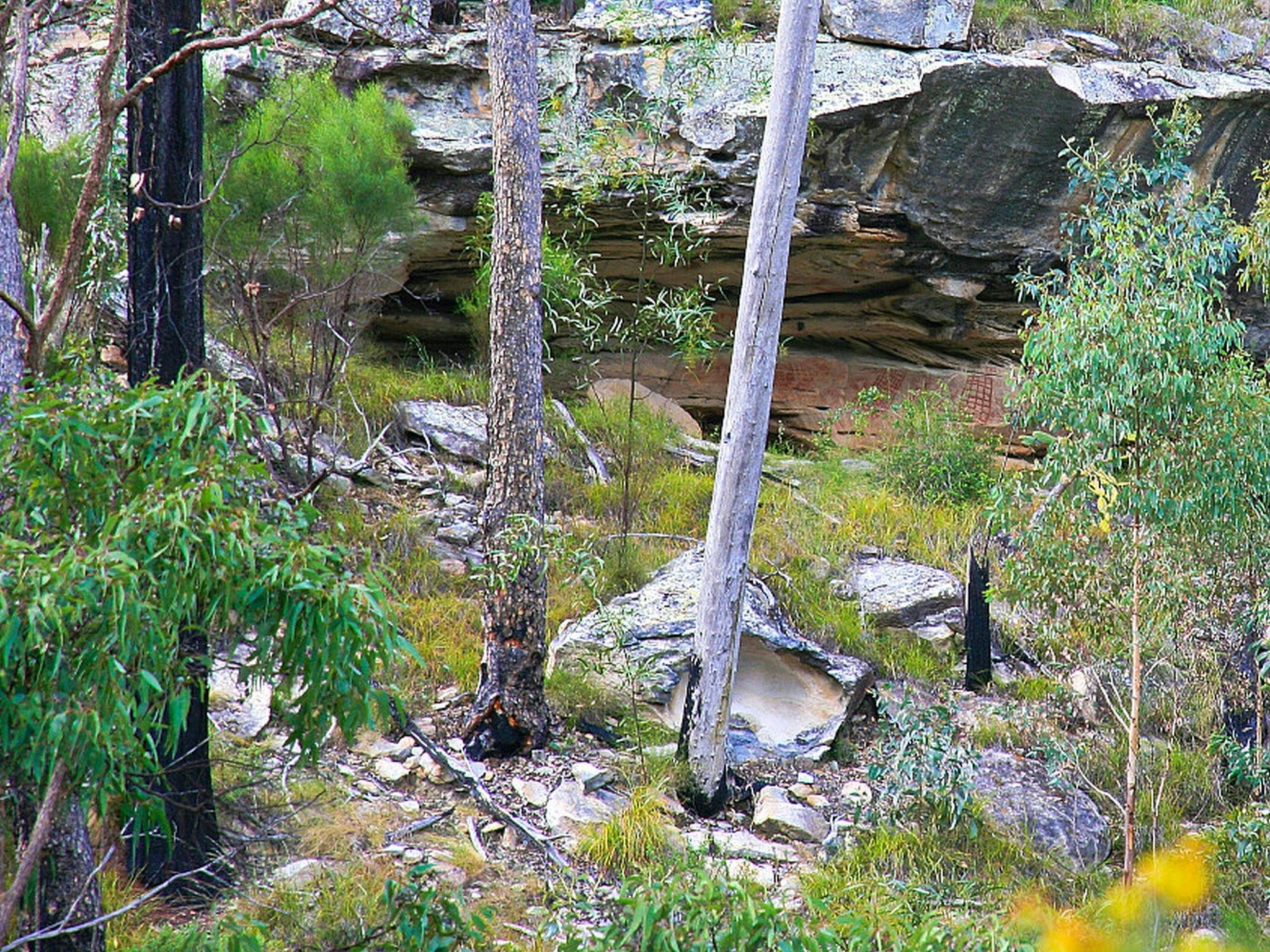Bush scene with rocky cliff face and aboriginal art. Bush scene with rocky cliff face and aboriginal art.