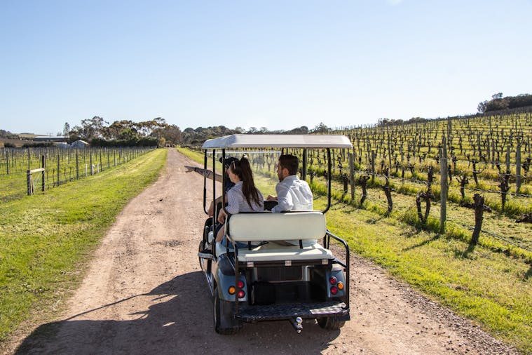 Vineyard Sustainability Tour & Tasting