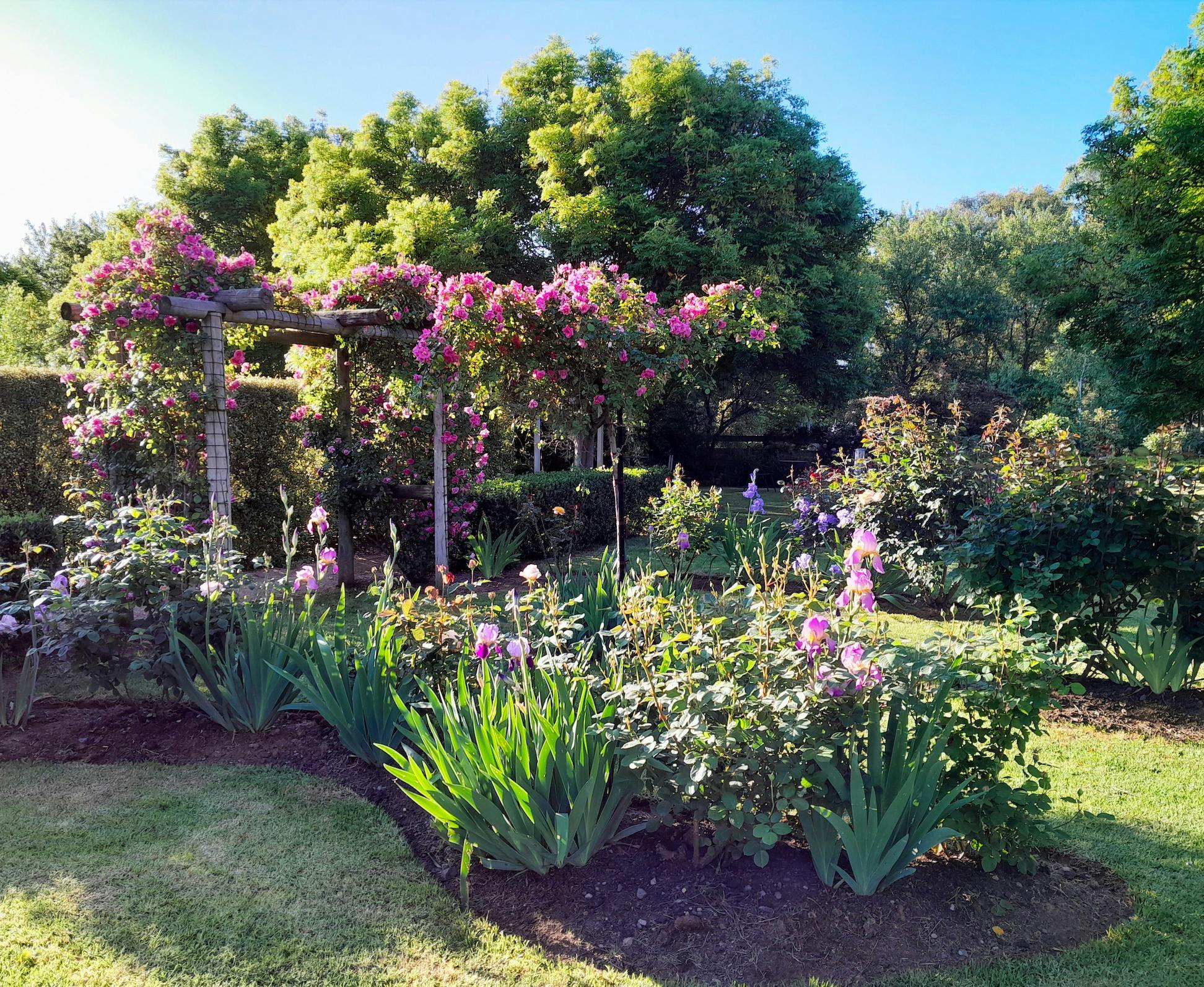 Open Gardens Victoria - Llangrigg Park rose arbour