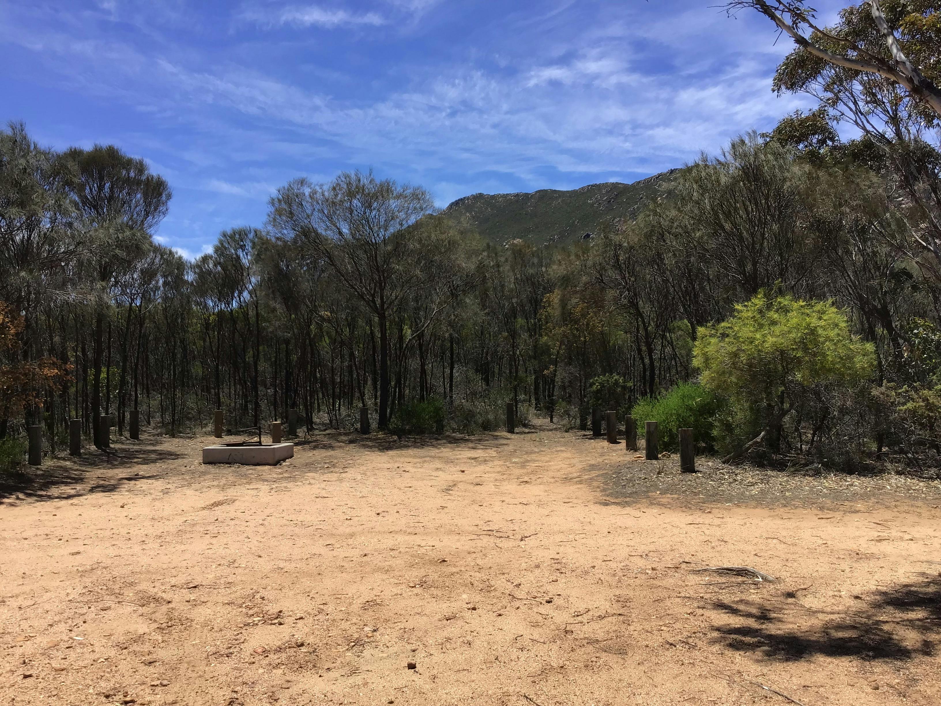 Cleared area for camping.
