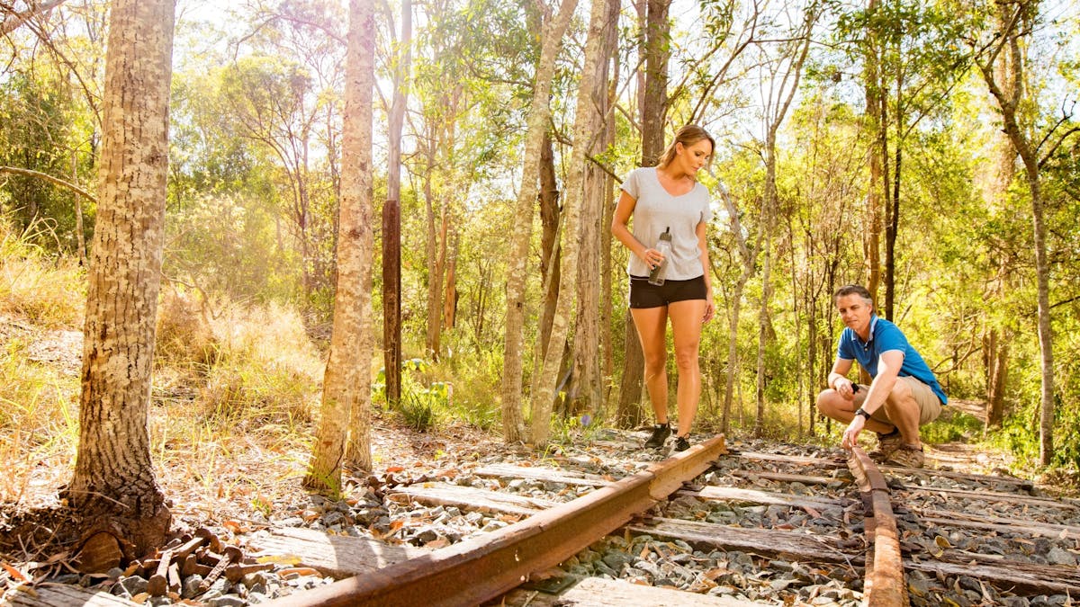 Lewis Thomas Historical Trail at Ipswich's Castle Hill Blackstone Reserve